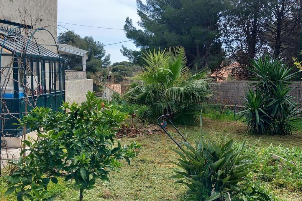 Villa Magali Grande Terrasse Vue Mer, Jardin, Proche Port La Ciotat Exterior photo